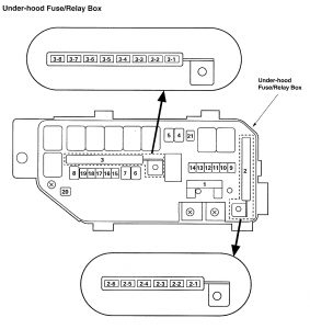Acura TL - wiring diagram - fuse panel (part 4)