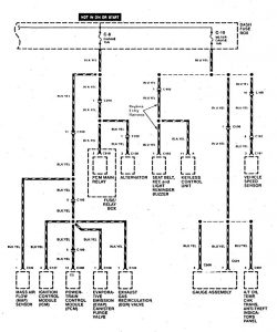 Acura SLX - wiring diagram - power distribution (part 8)